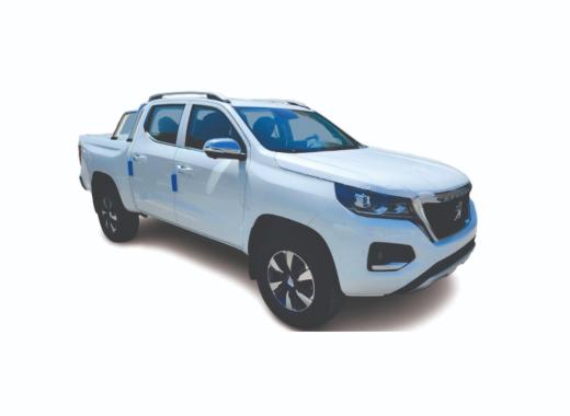 PEUGEOT CARINHA